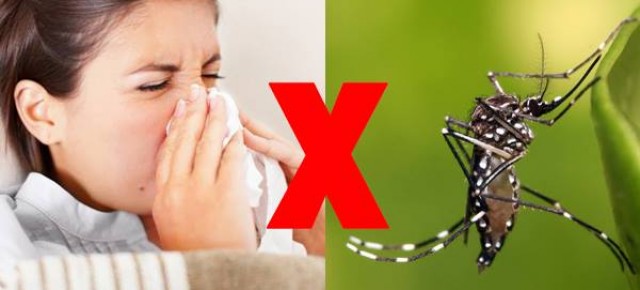Gripe e dengue: Diferencie os sintomas